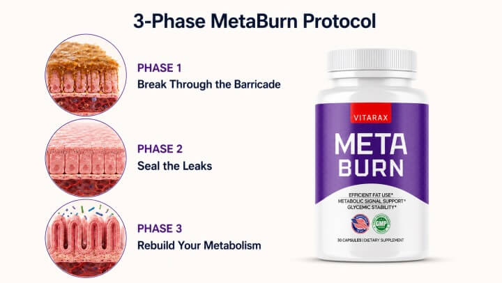 MetaBurn 3-phase protocol — Phase 1 Break Through, Phase 2 Seal, Phase 3 Rebuild